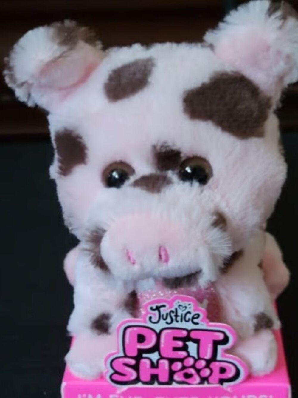 Justice Pig Stuffie with Leash
